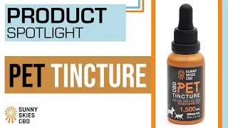 Product Spotlight: CBD Pet Tincture