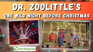 DR. ZOOLITTLE'S - ONE WILD NIGHT BEFORE CHRISTMAS  Interactive show at San Diego Zoo - Jungle Bells