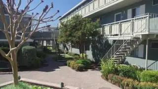 Pinebrook Apartments in Fremont, CA - ForRent.com
