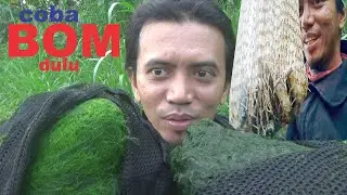 CARA MEMBUAT BOM PENGUMPUL IKAN SAAT MANCING NILA LIAR.. Terbukti! Mau Coba?