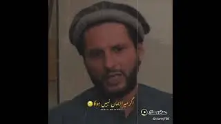 Shahid Affridi