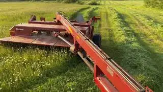 IH 1466 and New Holland H7450 cutting some first crop 2021