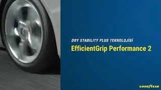 EfficientGrip Performance 2 ile Olağanüstü Kilometre Performansı