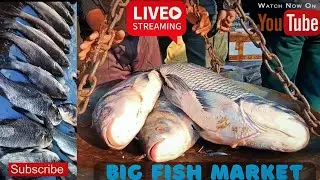 Amazing Big Fish Market  Guwahati | Lalung Gaon Wholesale Fish Market  #foodxa2z #fishmarket
