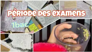 période des examens semaine pleine , la motivation/فترة الامتحانات