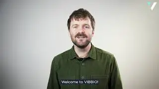 VIBBIO Demo