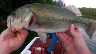 Catching FINICKY Summer Bass using Finesse Techniques | Summer Heat and Pressured Waters