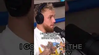 Jake Paul&rsquo;s EXPERIENCE Taking AYAHUASCA!! 😯💚🍄