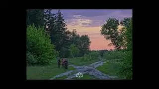 Lizzy McAlpine x Acoustic Guitar Type Beat - &ldquo;Feeling Low&rdquo;