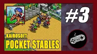 Win Pumpkin Match | Pocket Stables Gameplay Walkthrough (Android) Part 3