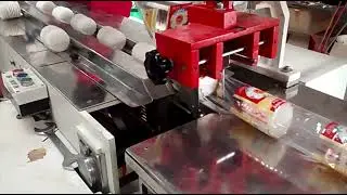 Want to Know How Papad Packing Machines Work?