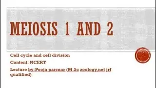 Meiosis 1 and 2 !! Cell cycle and cell division!! Meiosis all parts discussed!!