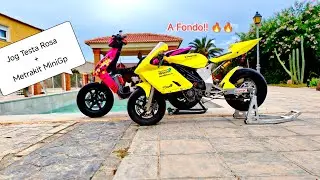 aFondo!!✊🏾👊🏾💣🔥🌹Jog Rr Testa Rosa🌹+ Metrakit Minigp: Lo Prometido es Deuda🔥#2t #jog #motorbike #2s 