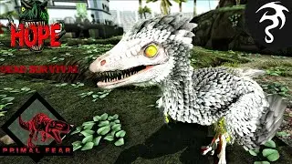 Our First Light Creature! - Ep29 - Primal Fear and Dead Survival on Hope