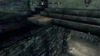 PS5 Skyrim continued, mic is not muted, had an error force me to stop