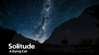 A Dying Cat - Solitude ( Nature Scenery )