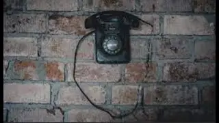 3 True Pet Stories and one Creepy Phone call #67