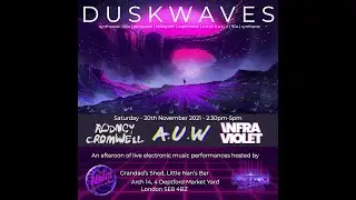Rodney Cromwell - Opus 3 - Live at DUSKWAVES