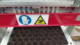 DaRos SEM100 seeding 67 cell seed tray