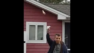 How to FLING a WING!