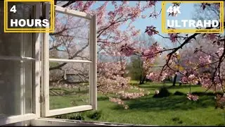 TV WALLPAPER | A four-hour, therapeutic 4K landscape video with a spring theme. Relaxing Video.