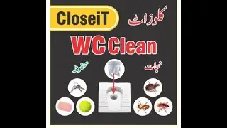 Closeit WC hole cover