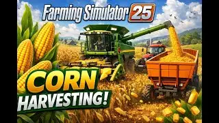 Corn Harvesting In Farming Simulator 25  #farmingsimulator22 #fs22gameplay #fs22mods #fs22 #ls22