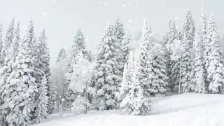 Sikkim Snowfall | EP-1 North East India| Beauty of Snowfalls | Gangtok Tour | 7 day 6 night |Rs8000