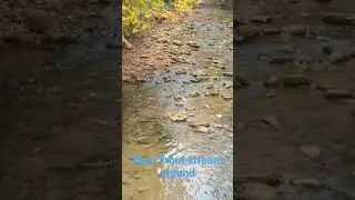 Davidson River, best trout stream around, Dried up bad