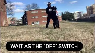 Taking Your Dog Home Part 2: Wait as the&rdquo;OFF&rdquo; switch in play, Down, Come, and Free