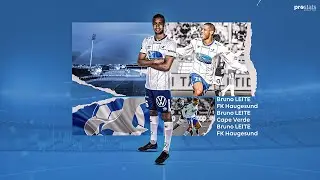 Bruno LEITE  ● DM/CM ● HIGHLIGHTS ● 2024