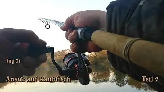 Ansitz auf Raubfisch | Tag 31 | Angeln trotz Erk&auml;ltung schockt nich | Teil 2 | Hecht | Barsch | Vlog