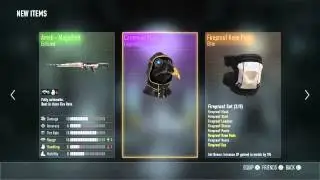 Legendary Gear: Carnevale Mask & Sentinel CI loadout