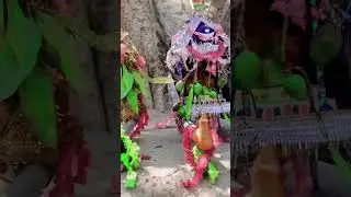 dola jatra in puri,that emphasize the festival's themes of love, spring,and unity. #puri#viral#vlog