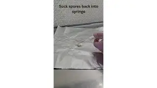 How to make a Spore Syringe