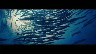 JCI Sunway Damansara Flagship Project | OCEAN PROJECT 爱海洋 | One Ocean , One World