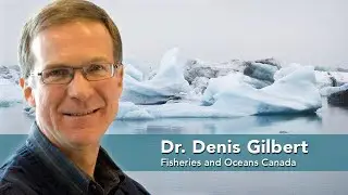 How does global warming make oceans rise?