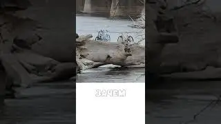 Велопарковка, которую никто не ждал!!