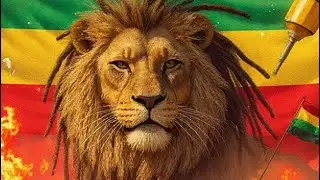 Lion a Judah / Le&atilde;o de Si&atilde;o 