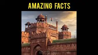 Mind Blowing Facts In Hindi || Amazing Facts || BDR gk facts ||🌍 #shorts