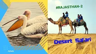 How to reach Pushkar/Ajmer/Desert ride/Rajasthan Tour/ Jaipur road Trip/