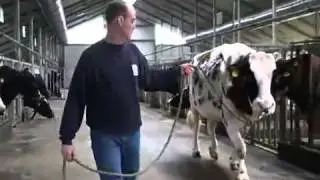 CRV: Kian, de eerste roodbonte miljonair