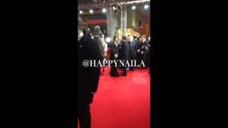 Fifty Shades of Grey Cast at the Berlinale 2015