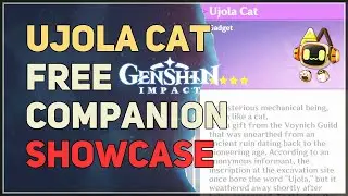 Ujola Cat Showcase Genshin Impact