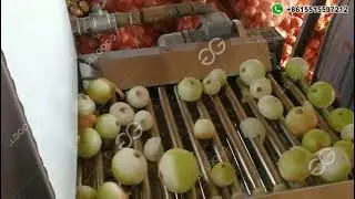 Automatic Onion Peeling Machine/Onion Peeler Machine