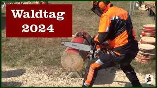 Waldtag 2024 in Sachsen-Anhalt