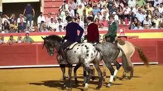 PASEILLO CABALLOS DE REJONEO | Diego Ventura Rui Fernandes Andrés Romero I Palos de la Frontera 2024