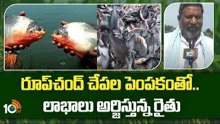 Roopchand Fish Farming | రూప్&lrm;చంద్ చేపల పెంపకంతో.. లాభాలు అర్జిస్తున్న రైతు | Matti Manishi | 10TV