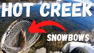 Record Snowfall Adventure: Fishing Hot Creek on Snowshoes