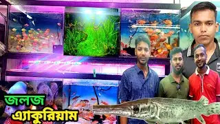জলজ Aquarium Fish 🐠shop In Khulna full Market রঙিন🐟 মাছের দোকান #marufbillarubel #aquarium #fish 